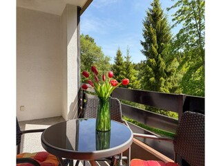 Appartement Winterberg Buitenaudio-opname 3