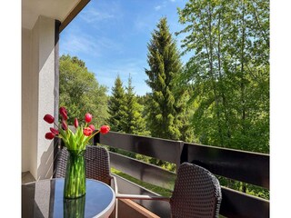Appartement Winterberg Buitenaudio-opname 4