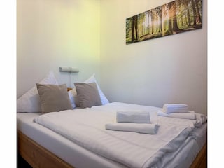 Appartamento Winterberg Caratteristiche 15