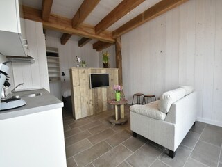 Casa per le vacanze 't Zand Caratteristiche 12
