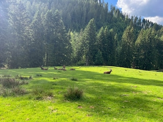 14_Landschaft2