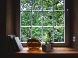 Ausblick ins Grüne