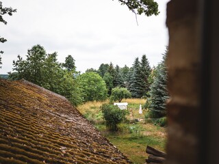 Blick in den Garten