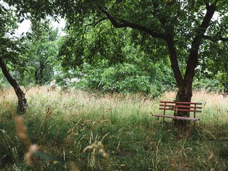Bank im Garten