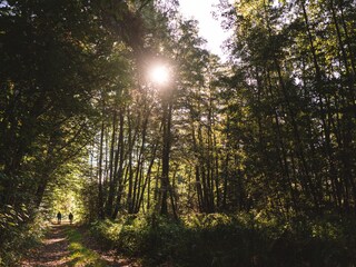 Wanderung durchs Planetal