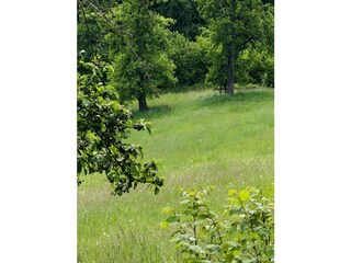 Holiday house Neunkirchen-Seelscheid Environment 21