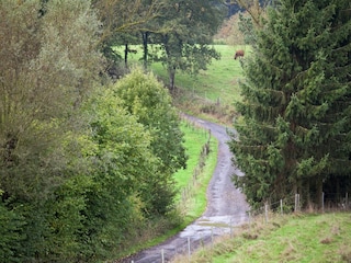 Appartamento Gerolstein Ambiente 25