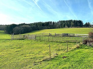 Appartamento Gerolstein Ambiente 28