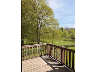 Ausblick ins Grüne