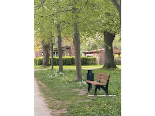 Parkbereich