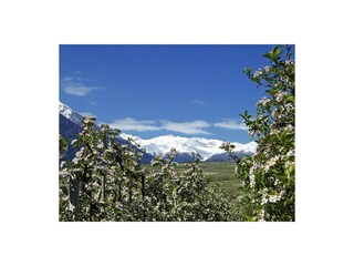Ferienhaus Naturns Umgebung 35
