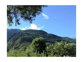 Ferienhaus Naturns Umgebung 36