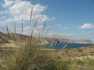 Appartamento per vacanze Rodalquilar Ambiente 19