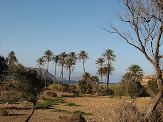 Vakantieappartement Rodalquilar Omgeving 20