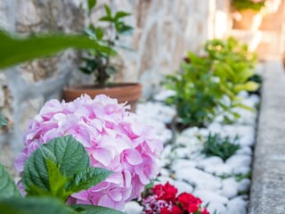 Ferienwohnung Cavtat Außenaufnahme 4