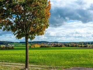 Apartment Arrach Umgebung 25