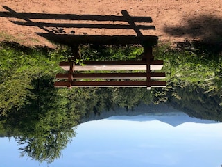 Blick auf Pfälzerwald