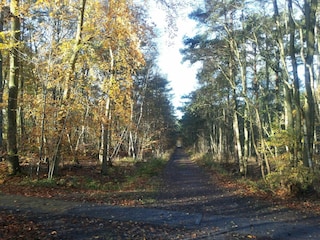 Weg zum Nordstrand