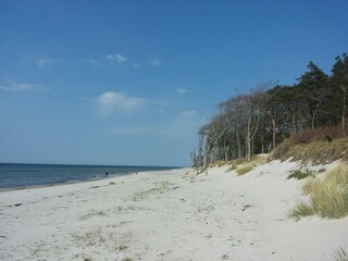 Weststrand Prerow