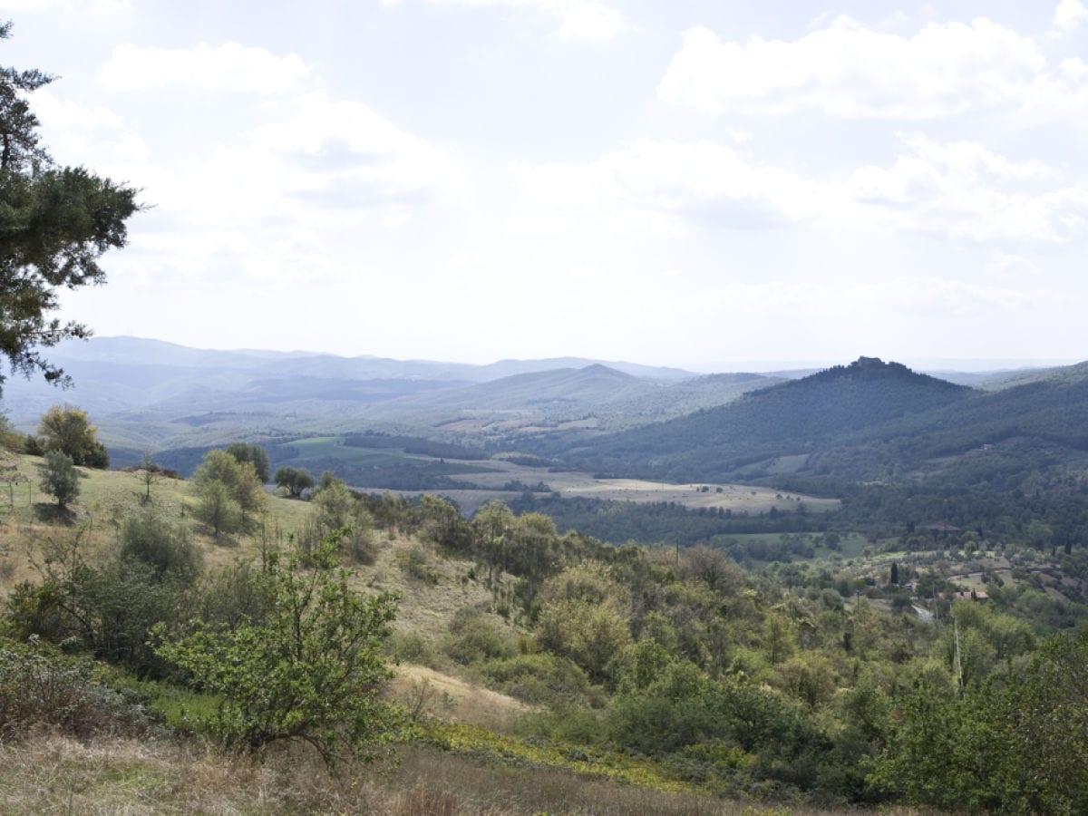 noch mehr Landschaft