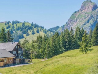 Sommer-Bergblick