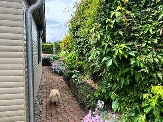 Bungalow Steffenshagen Buitenaudio-opname 3
