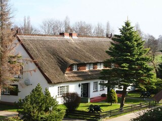 Apartment Zempin Outdoor Recording 3