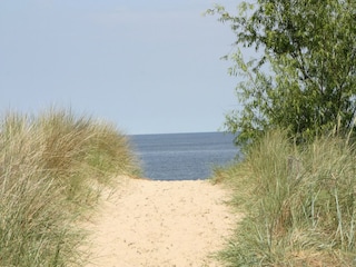 Vakantiehuis Ückeritz Omgeving 42