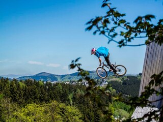 Appartement Winterberg Omgeving 31
