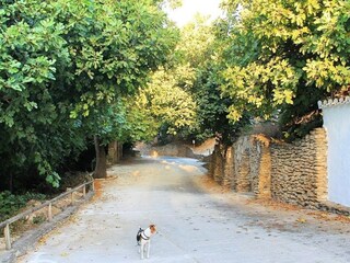 Parque de vacaciones Algarinejo Entorno 19