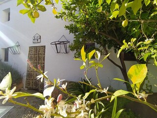 Ferienpark Algarinejo Außenaufnahme 9