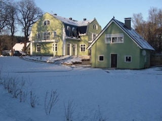 Winter 2