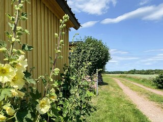 Holiday house Kalmar Outdoor Recording 13