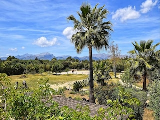 Apartment Alcudia Outdoor Recording 21