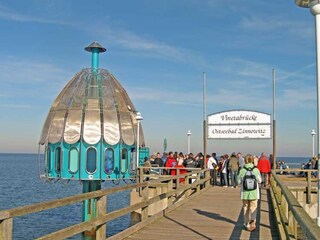 Holiday apartment Trassenheide Environment 16