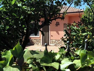 Ferienhaus Castellina Marittima Außenaufnahme 9