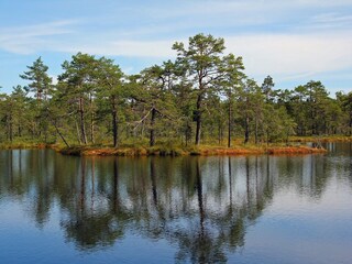 Knuthöjdsmossen (Hällefors)