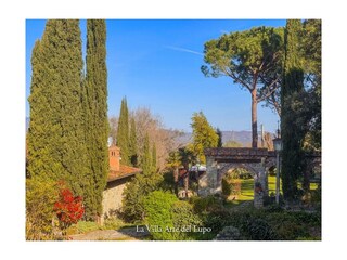 Holiday apartment Loro Ciuffenna Environment 45