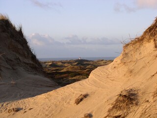 Dünenlandschaft
