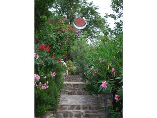 Casa de vacaciones Pontassieve Grabación al aire libre 5
