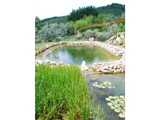 Casa per le vacanze Pontassieve Registrazione all'aperto 2