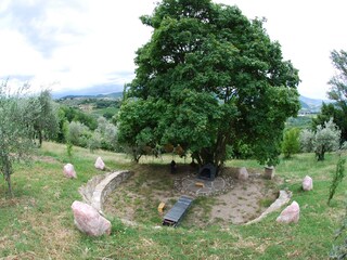 Casa per le vacanze Pontassieve Ambiente 37