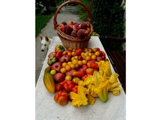 Casa per le vacanze Pontassieve Ambiente 40