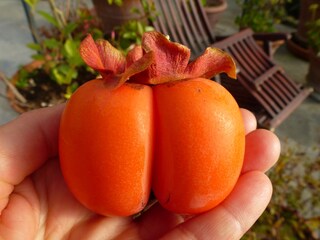 Casa per le vacanze Pontassieve Ambiente 38