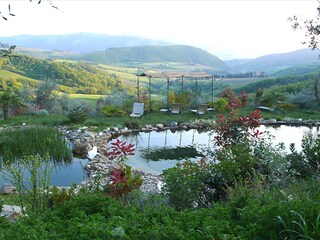 Casa per le vacanze Pontassieve Ambiente 34
