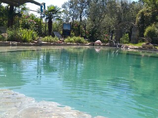 Casa per le vacanze Pontassieve Registrazione all'aperto 3