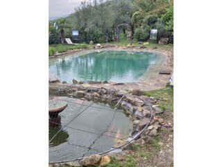 Casa per le vacanze Pontassieve Registrazione all'aperto 4