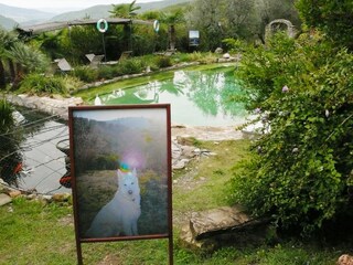Casa de vacaciones Pontassieve Grabación al aire libre 13