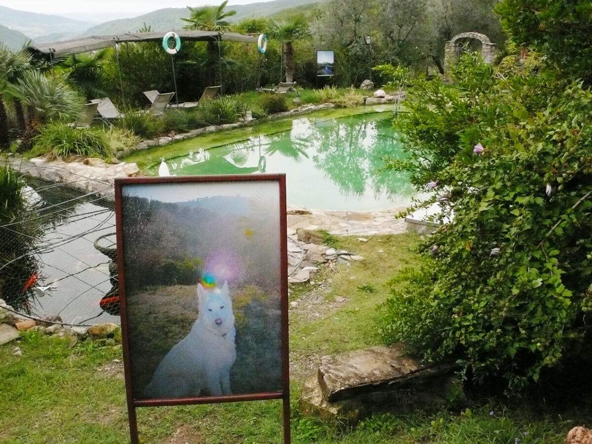 Fotoausstellung über ORBS