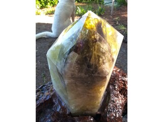 Casa per le vacanze Pontassieve Registrazione all'aperto 18